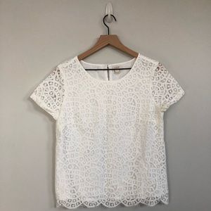 JCrew Factory Lace Top